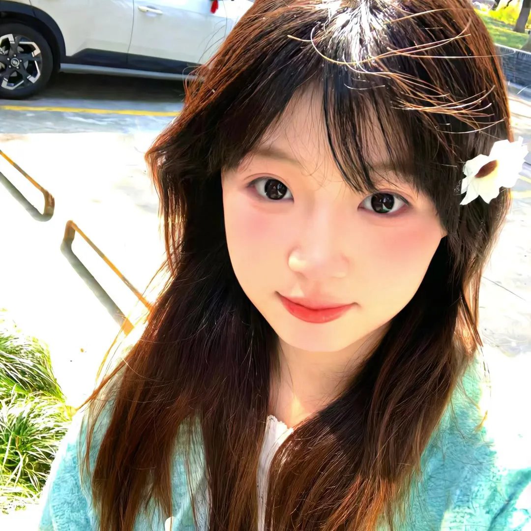 孔雀南飞